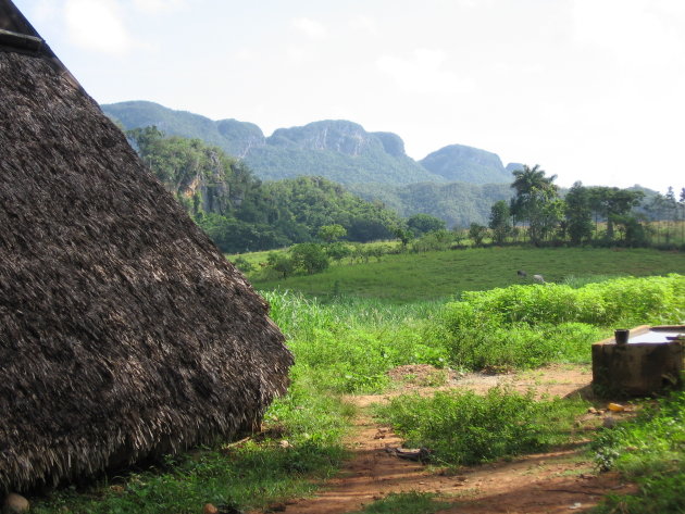 Vinales