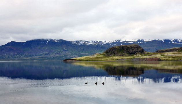 Een vroege ochtend aan de Reydarfjordur