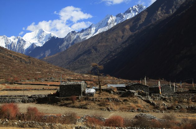 Langtang village 