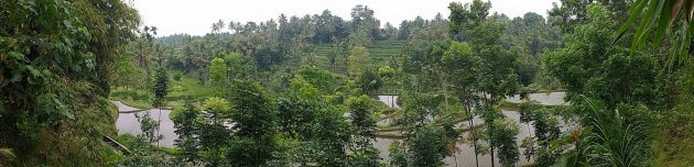 Eén bonk natuur op Lombok