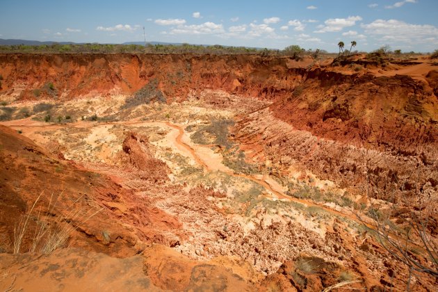 Red Tsingy Canyon