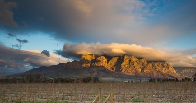 Wijn drinken en overnachten bij Boschendal