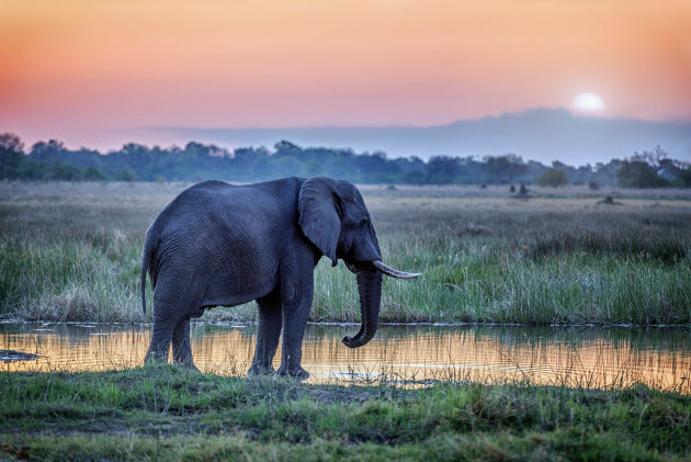 Sundowner in Botswana