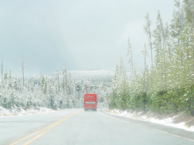 Sneeuw in september in yellowstone