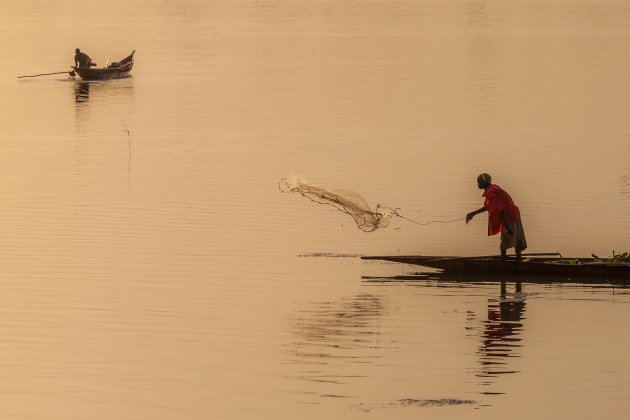 Vissen op de Niger