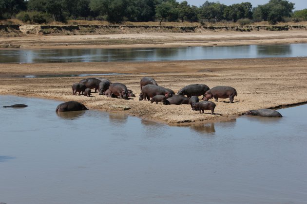 Luangwa-Rivier I