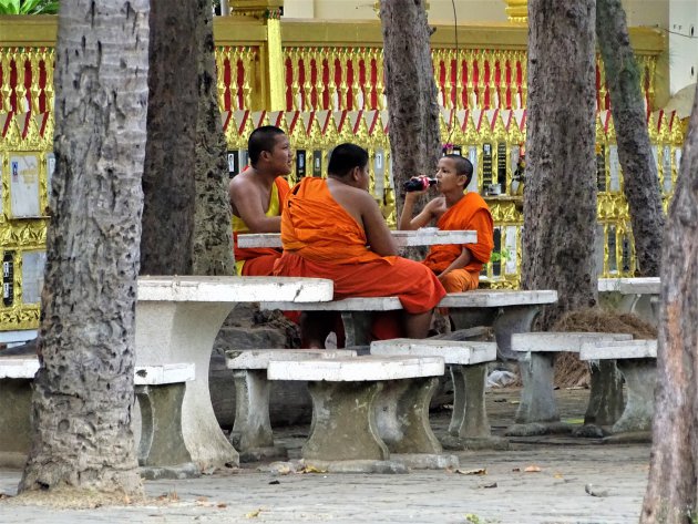 cola drinken in de schaduw.