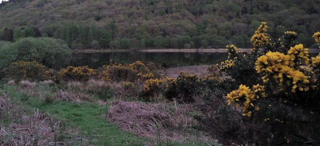 schemering Glendalough