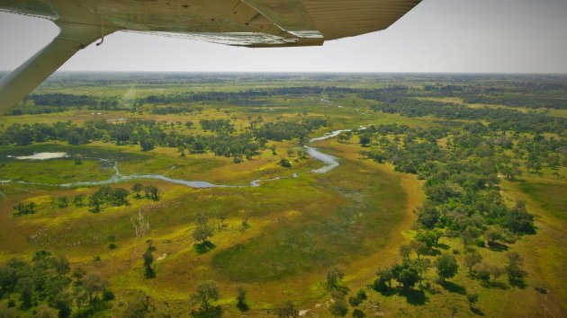 Vliegen vanuit Maun