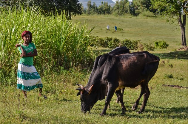 Maak je dromen waar in Amhara