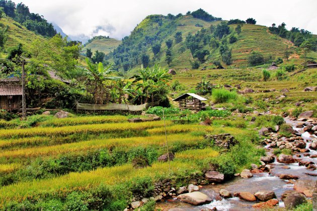 Ochtendwandeling Sapa