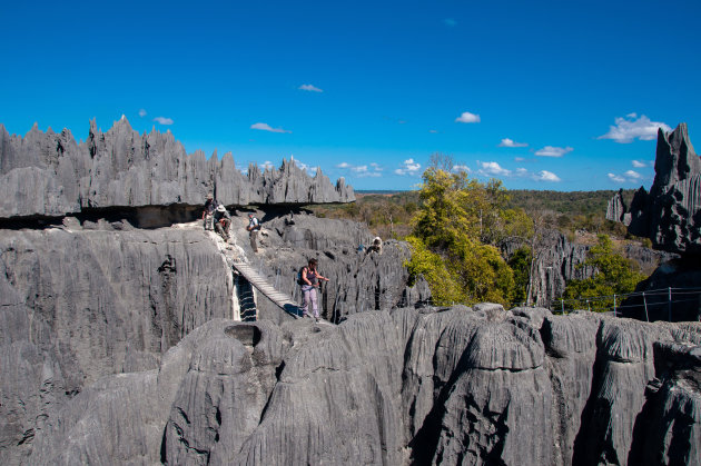 Suspension bridge Tsingy