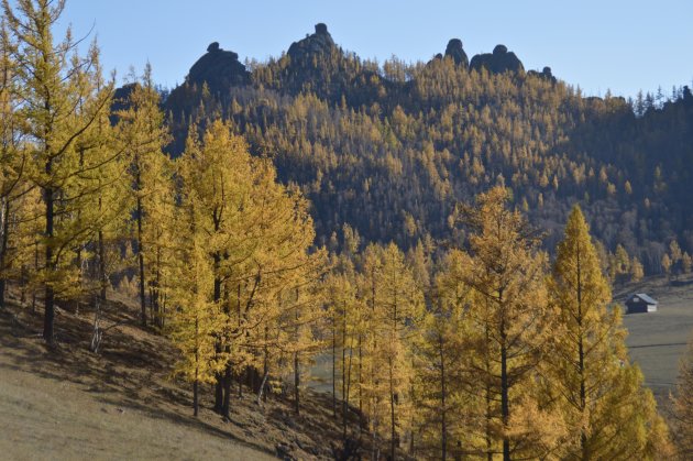 natuurpark Terelj