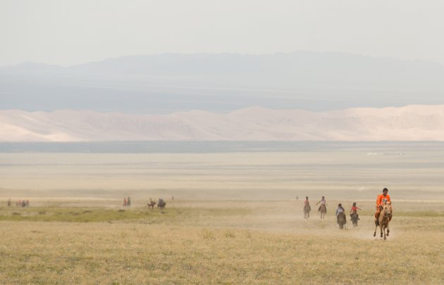 Paardenrace in de woestijn