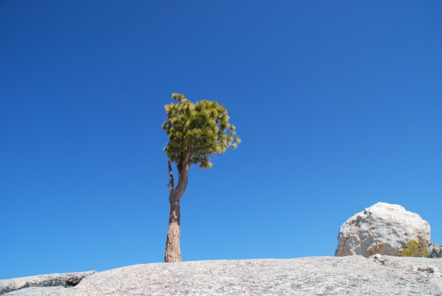 De spectaculaire Tioga Pass