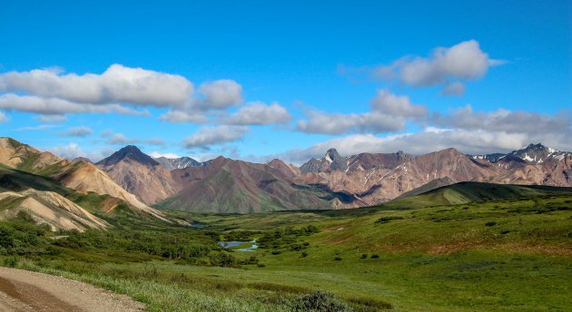 Kleurrijk Denali