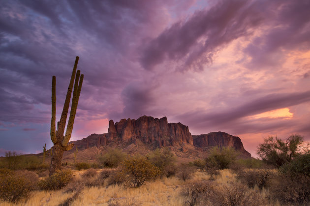 Lost Dutchman S.P.