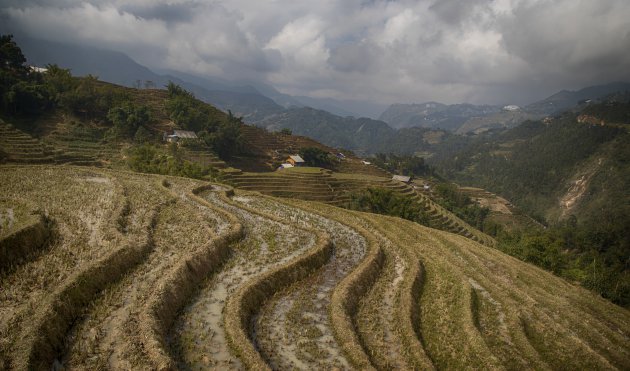 Trekking rond Sapa.