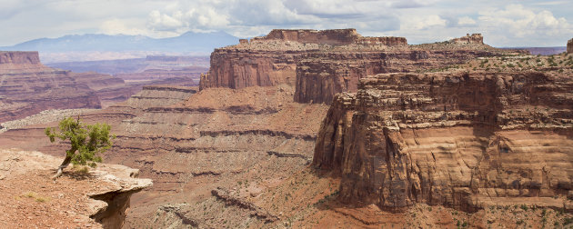 Canyonlands N.P.