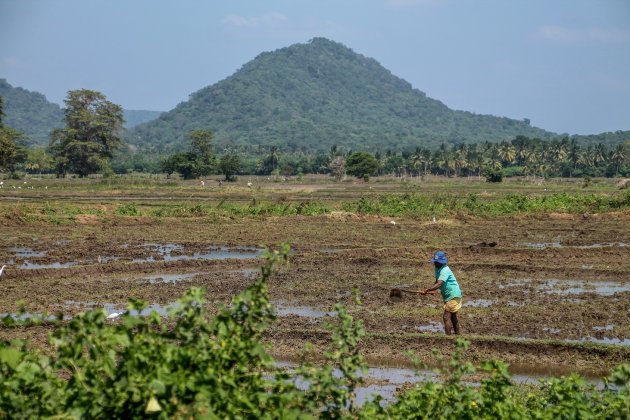 De Omgeving van Yala N.P. 