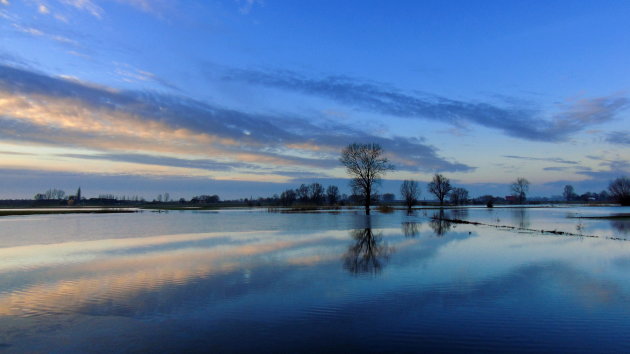 Blue Reflections