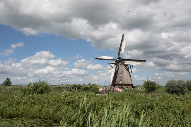 Kinderdijk 