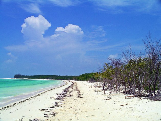 Maagdelijk strand