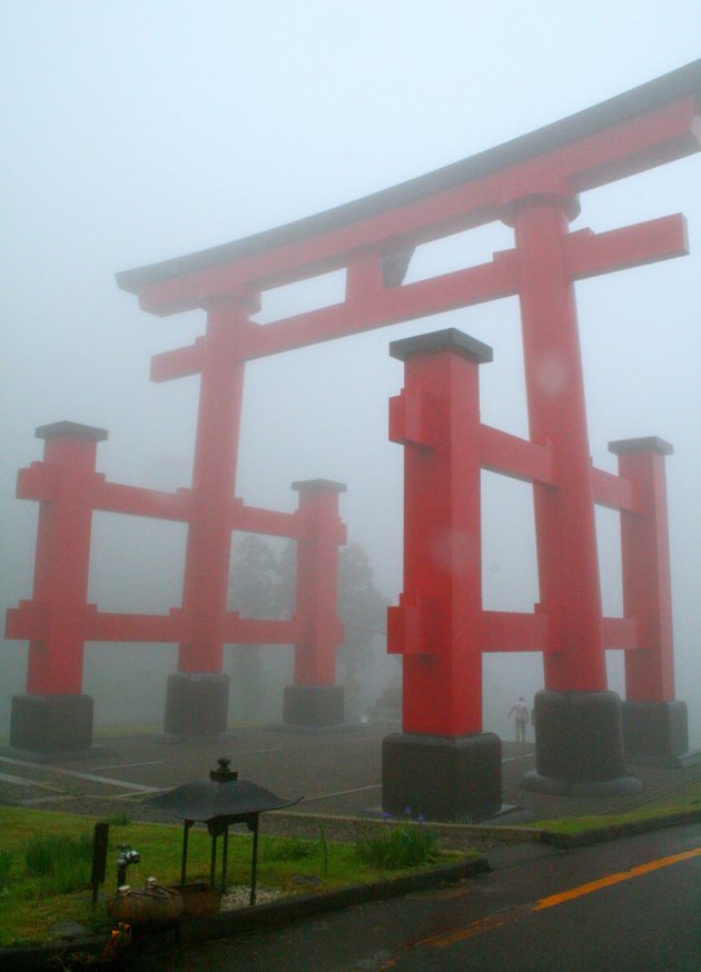 Tori in de mist