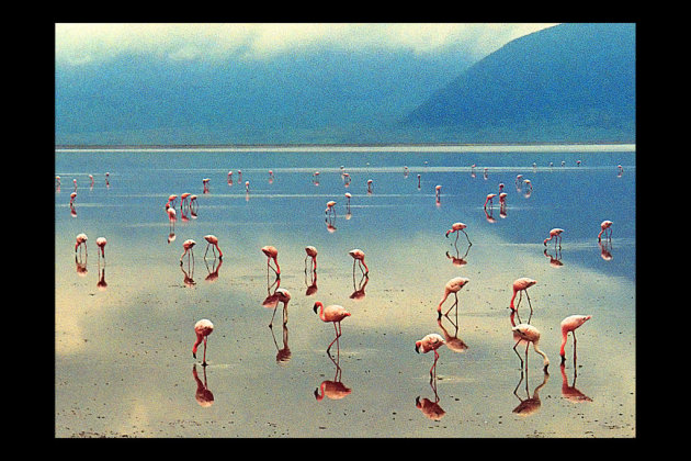 Lake Manyara. 2003.