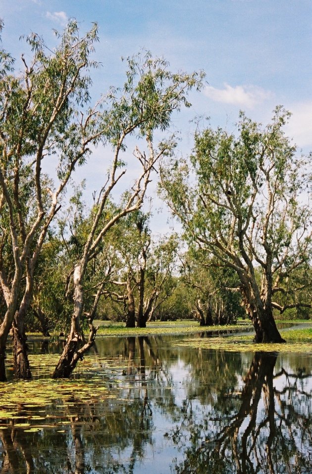 Kakadu NP