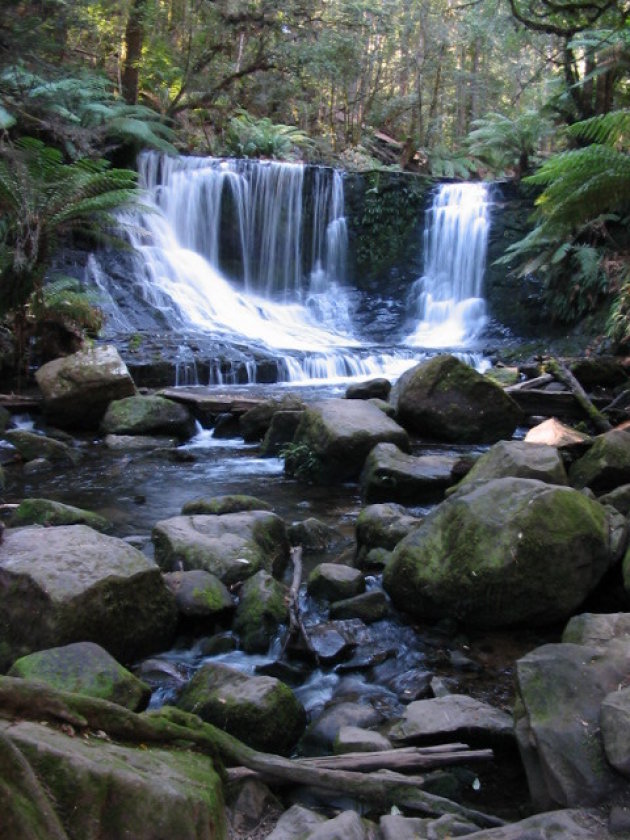 Russell Fall, Mount Field National Park