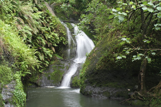 De mooiste waterval van Rarotonga