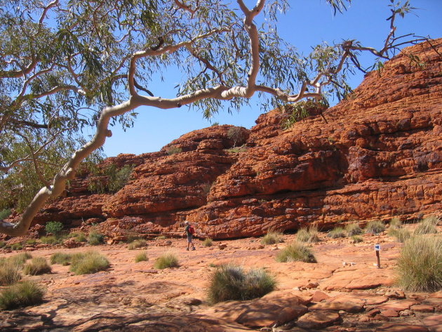 Kings Canyon