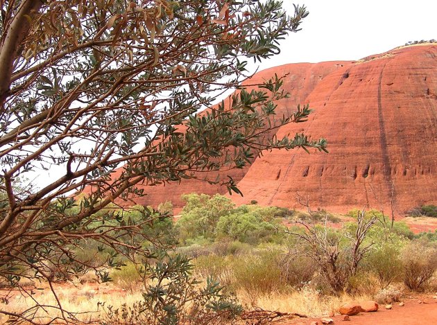 Uluru (detail)