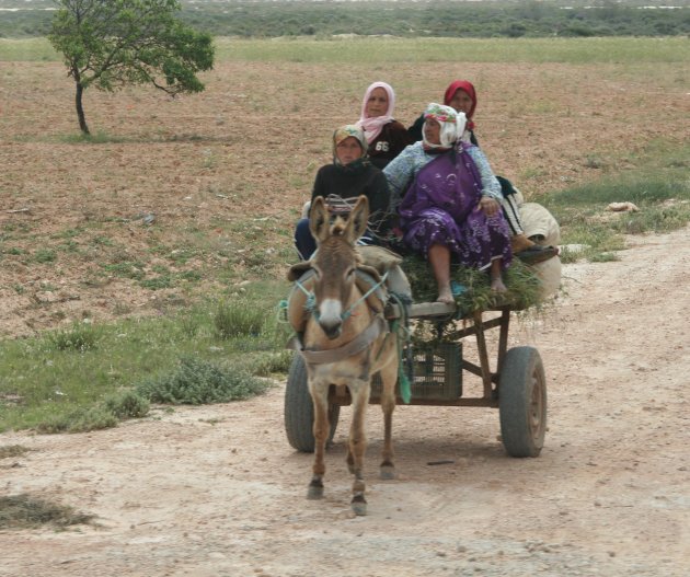 Wagen volgeladen......