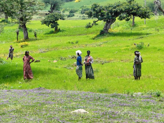 Intro foto Gondar