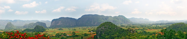 Pinar Panorama