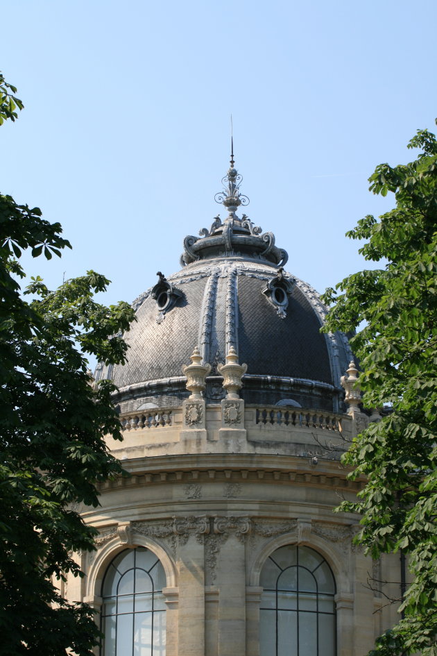 Petit Palais...