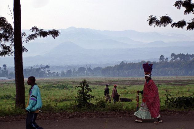 Parc National des Volcans