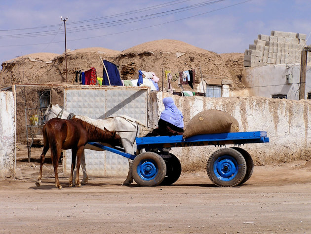 Paard en wagen