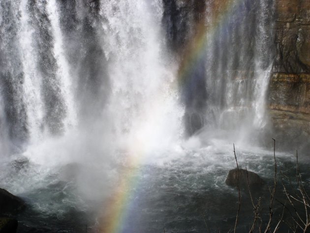 een regenboog