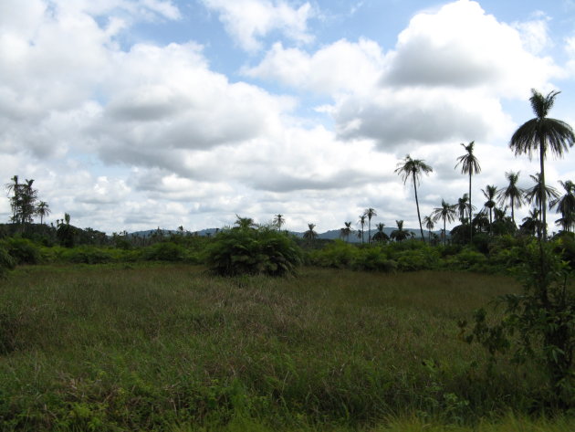 landschap zuid Sierra Leone