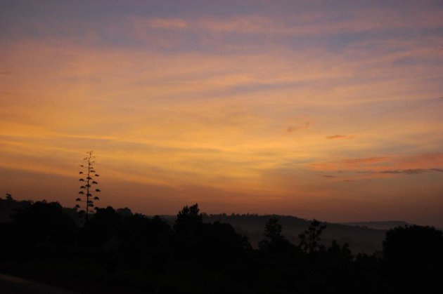 Nog genieten van het land en het landschap ga op reis en safari in Uganda.