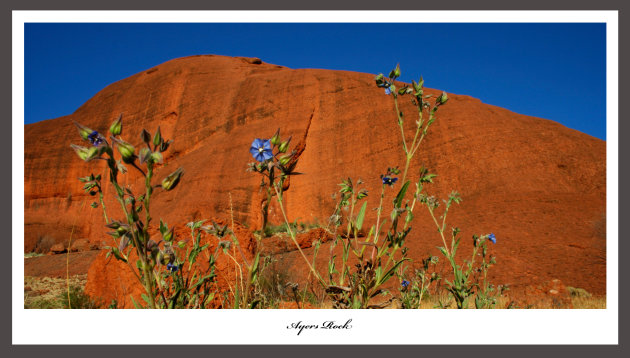 Uluru