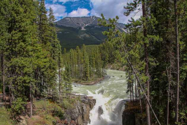 Sunwapta falls