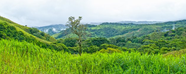 De weg naar Monteverde...betoverend