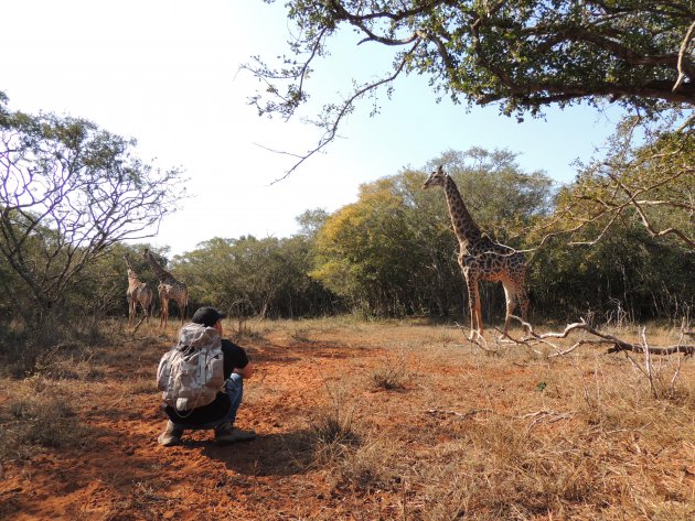 Onvergetelijke wandelsafari!