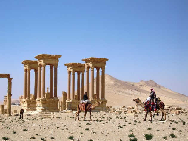 Palmyra