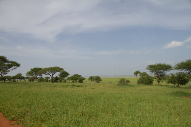 Tarangire NP