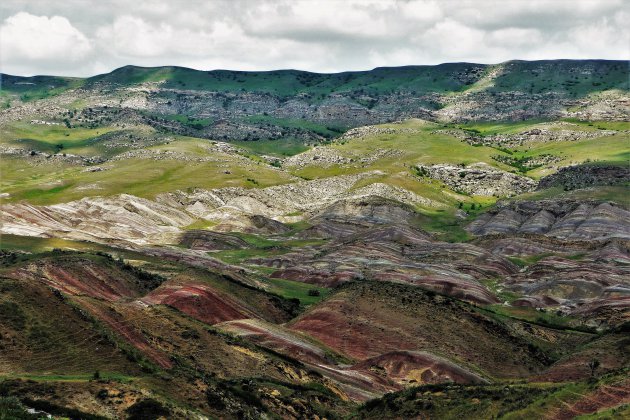 veel kleuren in het landschap